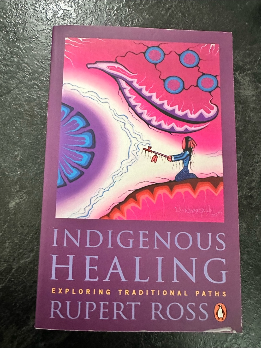 Indigenous Healing book